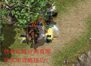 传奇私服SF网有哪些实用攻略技巧? 传奇私服SF网有哪些实用攻略技巧?
