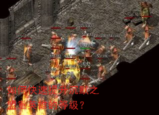 如何快速提升沉默之盟重英雄的等级? 如何快速提升沉默之盟重英雄的等级?
