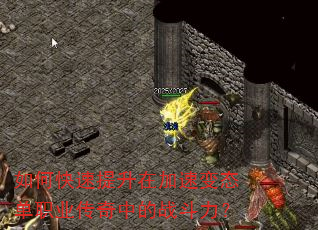 如何快速提升在加速变态单职业传奇中的战斗力? 如何快速提升在加速变态单职业传奇中的战斗力?