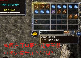 如何在开单职业迷失私服中快速提升角色等级? 如何在开单职业迷失私服中快速提升角色等级?