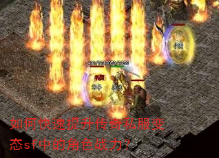 ��ο�����������˽����̬sf�еĽ�ɫս����