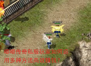 嘟嘟传奇私服玩家如何运用多种方法高效赚钱? 嘟嘟传奇私服玩家如何运用多种方法高效赚钱?