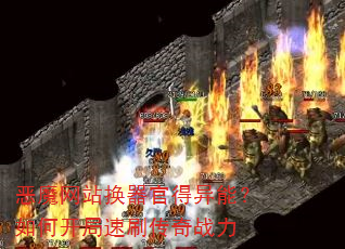 恶魔网站换器官得异能?如何开局速刷传奇战力 恶魔网站换器官得异能?如何开局速刷传奇战力