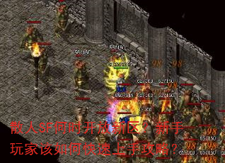 散人SF何时开放新区?新手玩家该如何快速上手攻略? 散人SF何时开放新区?新手玩家该如何快速上手攻略?