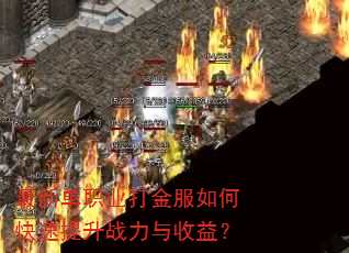 最新单职业打金服如何快速提升战力与收益? 最新单职业打金服如何快速提升战力与收益?