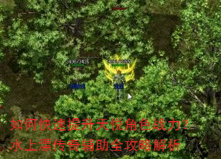 如何快速提升天悦角色战力?水上漂传奇辅助全攻略解析 如何快速提升天悦角色战力?水上漂传奇辅助全攻略解析