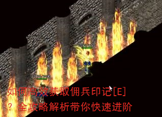 ��θ�Ч��ȡӶ��ӡ��[E]��ȫ���Խ���������ٽ���