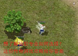 想了解仙职专业如何选择?这份传奇游戏攻略给你答案 想了解仙职专业如何选择?这份传奇游戏攻略给你答案