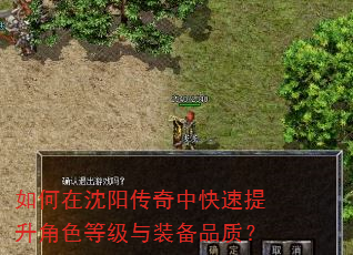 如何在沈阳传奇中快速提升角色等级与装备品质? 如何在沈阳传奇中快速提升角色等级与装备品质?