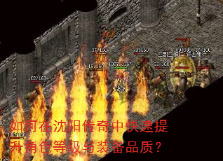 如何在沈阳传奇中快速提升角色等级与装备品质? 如何在沈阳传奇中快速提升角色等级与装备品质?