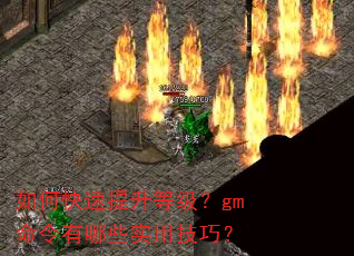 如何快速提升等级?gm命令有哪些实用技巧? 如何快速提升等级?gm命令有哪些实用技巧?