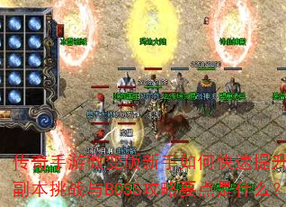 传奇手游微变版新手如何快速提升战力?装备获取与强化有哪些技巧?副本挑战与BOSS攻略要点是什么?职业选择与技能搭配如何优化? 传奇手游微变版新手如何快速提升战力?装备获取与强化有哪些技巧?副本挑战与BOSS攻略要点是什么?职业选择与技能搭配如何优化?
