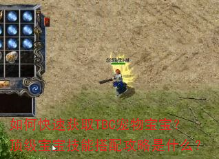 如何快速获取TBC宠物宝宝?顶级宝宝技能搭配攻略是什么? 如何快速获取TBC宠物宝宝?顶级宝宝技能搭配攻略是什么?