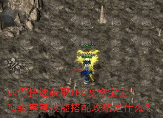 如何快速获取TBC宠物宝宝?顶级宝宝技能搭配攻略是什么? 如何快速获取TBC宠物宝宝?顶级宝宝技能搭配攻略是什么?