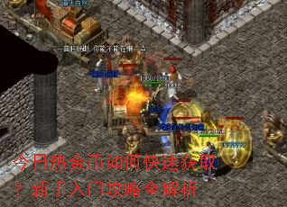 今日热金币如何快速获取?新手入门攻略全解析 今日热金币如何快速获取?新手入门攻略全解析