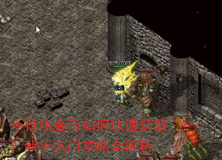 今日热金币如何快速获取?新手入门攻略全解析 今日热金币如何快速获取?新手入门攻略全解析